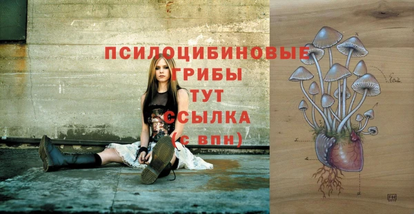 ГАЛЛЮЦИНОГЕННЫЕ ГРИБЫ Новосибирск