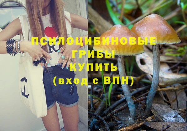 a pvp Алексеевка