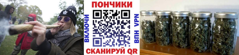 Бошки марихуана сатива  Купить где  Мезень 